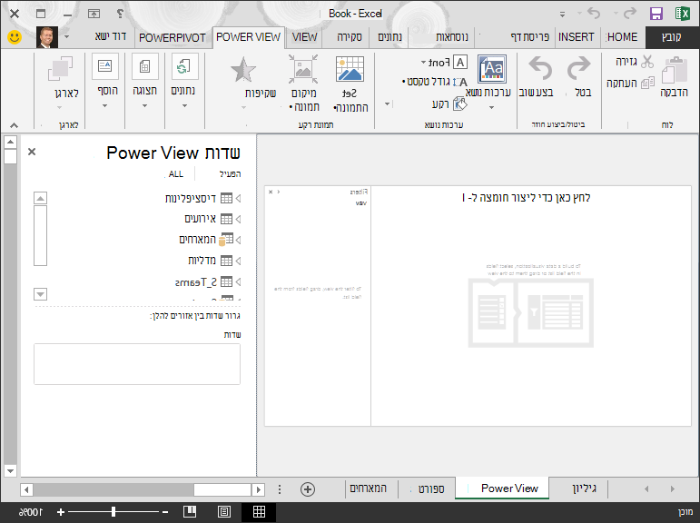 דוח Power View ריק ב- Excel