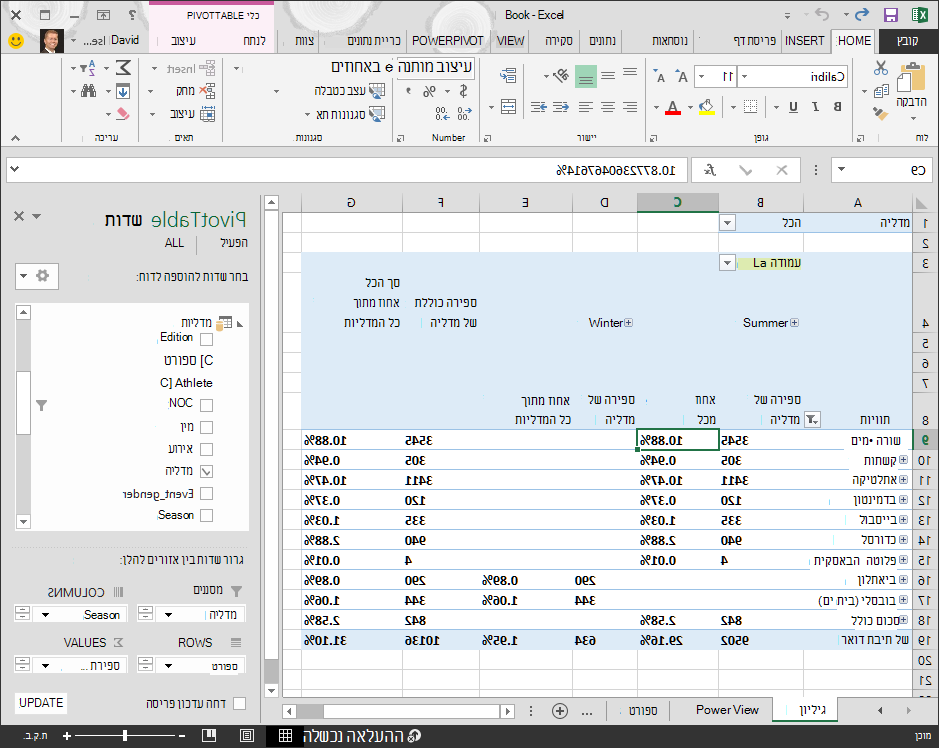 PivotTable מציג נתוני אחוזים