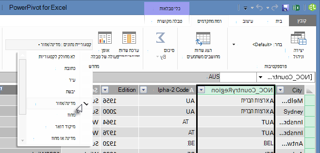 קטגוריות נתונים ב- PowerPivot