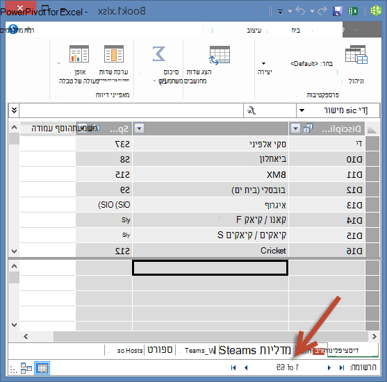 PowerPivot מציג את מספר הרשומות