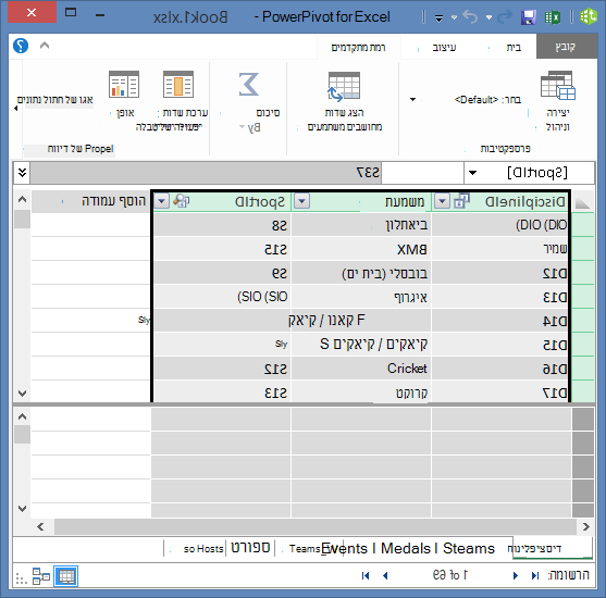 העתקת שדות ב- PowerPivot