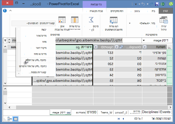 הגדרת קטגוריית הנתונים ב- PowerPivot