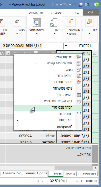 לחץ באמצעות לחצן העכבר הימני כדי להסתיר שדות טבלה מ'כלי לקוח של  Excel'