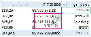 לחצן 'סיור מהיר'