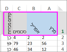 שורת טקסט המסובבת במגוון זוויות.