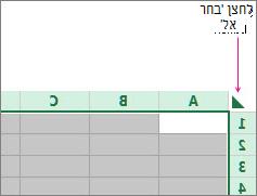 לחצן 'בחר הכל'