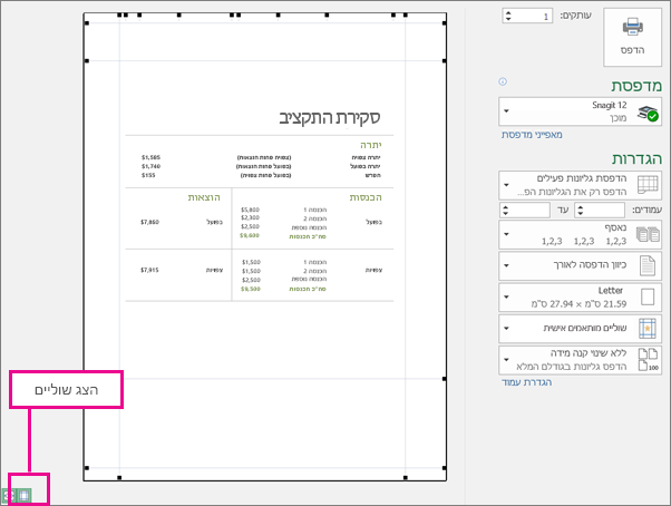 התיבה 'הצג שוליים' ב'הצגה לפני הדפסה'