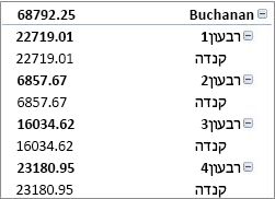 PivotTable בצורה דחוסה