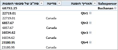 PivotTable בצורת מיתאר