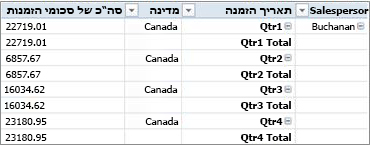 PivotTable בצורת טבלה