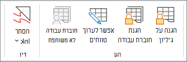 'הגנה על גיליון' תחת 'סקירה'