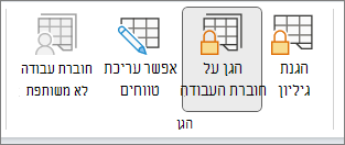 האפשרות 'הגן על חוברת עבודה' מסומנת