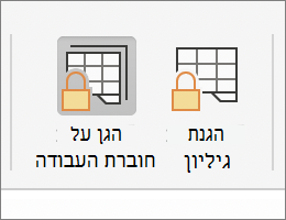 'הגן על חוברת העבודה' מסומן ב- MacOS