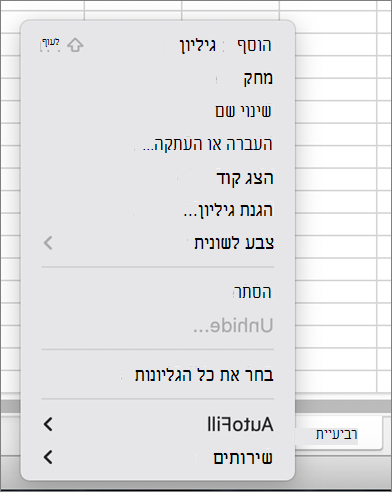 תפריט 'הגן על חוברת העבודה' לא זמין MacOS