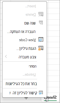 פונקציות לא יהיו זמינות כאשר הגנת חוברת עבודה זמינה