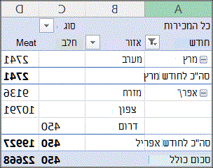 דוח PivotTable לדוגמה