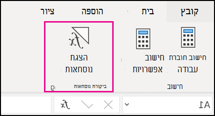 הצגת נוסחאות באינטרנט