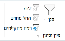 צילום מסך של המקטע 'מיון וסינון' של הכרטיסיה 'נתונים'.