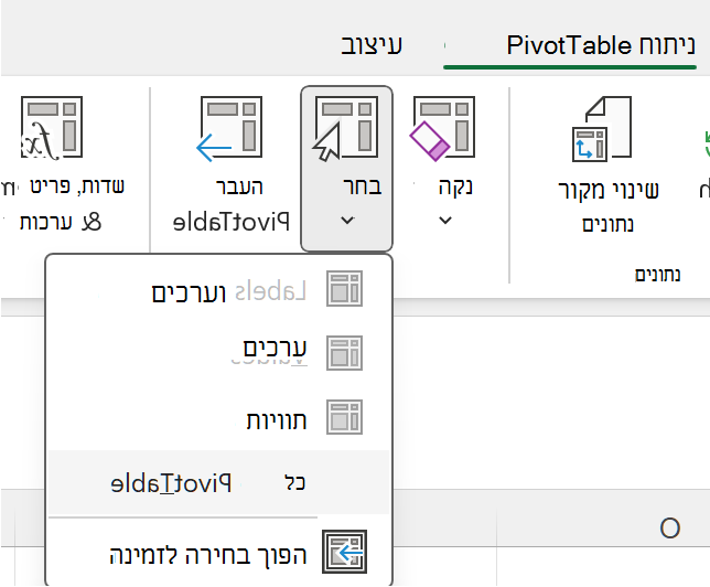 בחר את כל לחצן ה- PivotTable ב- Windows.