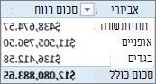 PivotTable פשוט