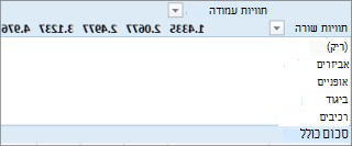 PivotTable ללא ערכים שימושיים