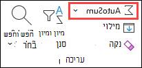 'סכום אוטומטי' בכרטיסיה 'בית'
