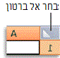 לחצן 'בחר הכל'