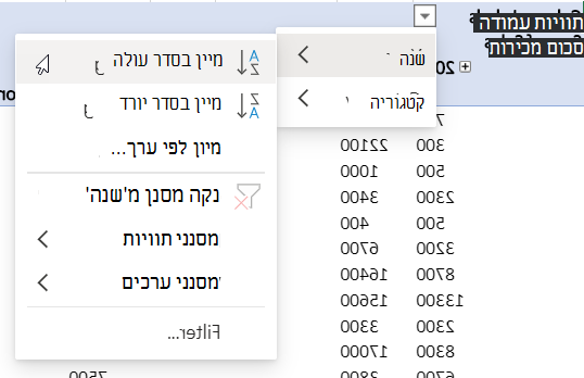 אזור שורות עם מסננים משולבים