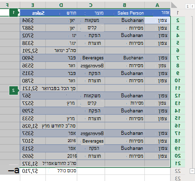 חלוקה לרמות של שורות ב- Excel Online