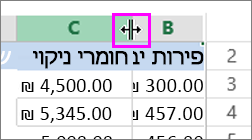 שנה את רוחב העמודה