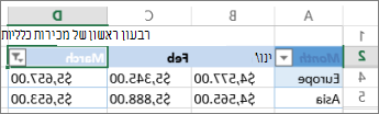 התוצאות של החלת מסנן מספרים מותאם אישית