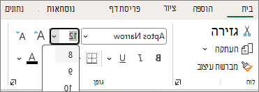 צילום מסך של הרשימה הנפתחת 'בחירת גודל גופן אחר'.