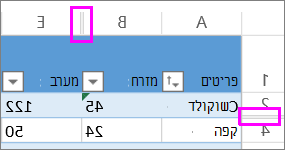 שורות כפולות בין שורות ועמודות מציינות שורות או עמודות מוסתרות