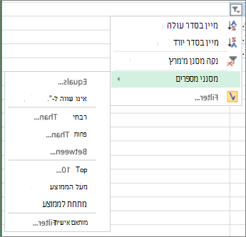 אפשרויות הסינון המותאם אישית הזמינות עבור ערכי מספרים.