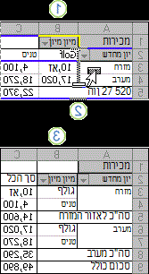 דוגמה לשינוי הפריסה של דוח PivotTable