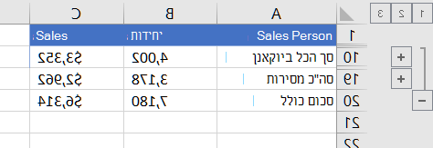 רשימה מחולקת לרמות שבה מוצגות שורות סכומים כוללים בלבד