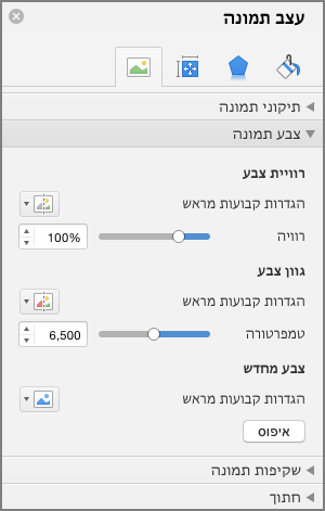 התאמת הגדרות רוויית הצבע בחלונית 'עיצוב תמונה'