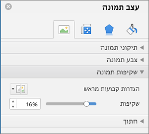 כוונון שקיפות הצבע בחלונית 'עיצוב תמונה'