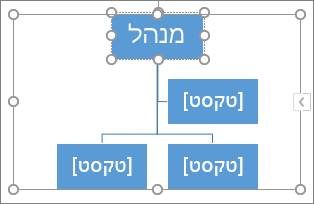 הקלדה בתיבה בגרפיקת SmartArt