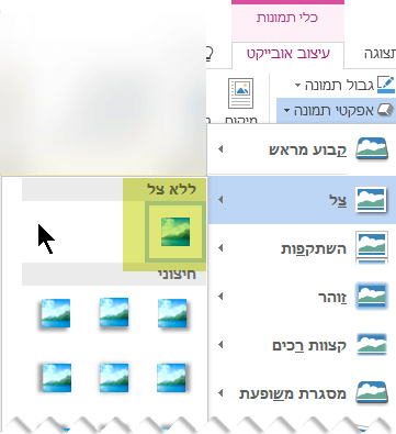 בטל אפקט תמונה שאינך מעוניין בו על-ידי בחירה באפשרות 'ללא אפקט'.