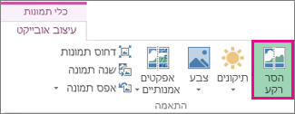 לחצן 'הסר רקע' בקבוצה 'התאמה' שבכרטיסיה 'עיצוב' של 'כלי תמונה'
