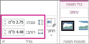 התיבות 'גובה' ו'רוחב' בכרטיסיה 'כלי תמונות - עיצוב אובייקט'