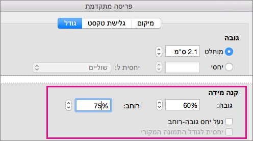 בכרטיסיה 'גודל' בתיבה 'פריסה מתקדמת', אפשרויות קנה המידה מסומנות.
