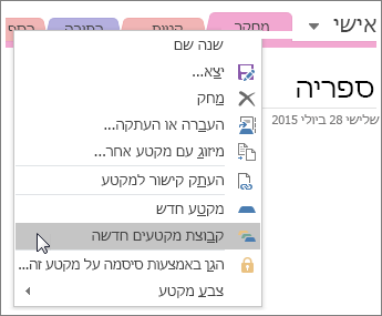 צילום מסך של אופן היצירה של קבוצת מקטע חדשה ב- OneNote 2016.