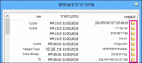 לכל סוגי הפריטים יש סמל זהה בתיקיה 'פריטים הניתנים לשחזור'