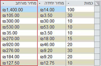 שדה מחושב, כפי שמופיע בתצוגת 'גיליון נתונים'.