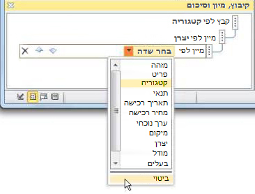 בחירת אפשרות הביטוי בחלונית 'קיבוץ, מיון וסיכום'.