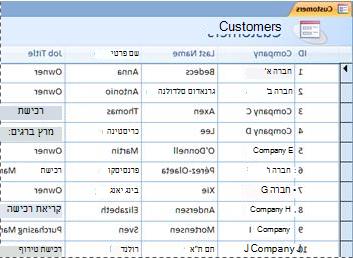 טופס של פריטים מרובים