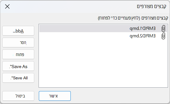 תיבת הדו-שיח 'קבצים מצורפים' ב- Access מציגה שני קבצי BMP.
