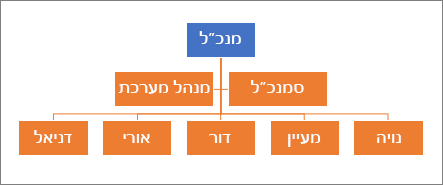 הירארכיה טיפוסית